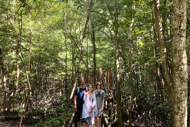 1-Day Can Gio Island-Mangrove Biosphere Reserve-Trekking - Monkey Island: a fun pause (and a reminder to stay respectful)