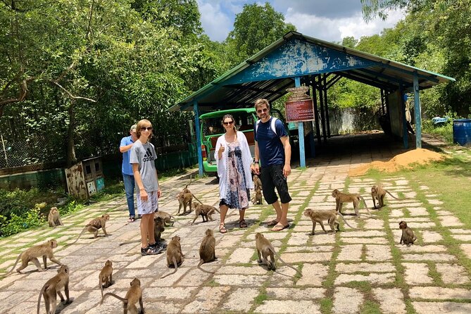 1-Day Can Gio Island-Mangrove Biosphere Reserve-Trekking - Crab-catching-style fun: small, practical, and memorable