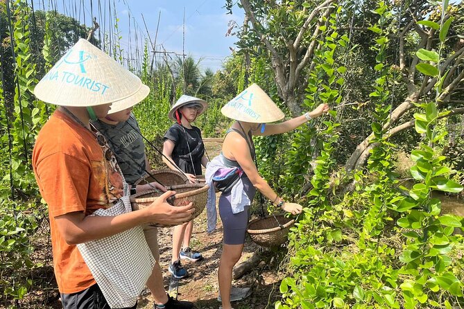1-Day Explore Non-Touristy Side Of Mekong Delta- Group 10 Max - Cycling the 4 Km Loop: Gardens, Canals, and Quiet Rural Pace