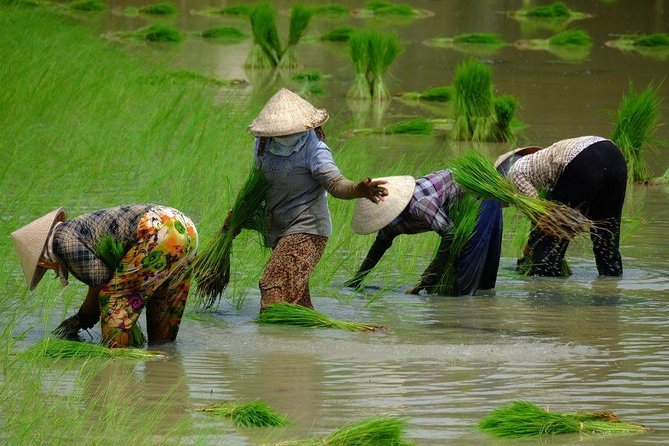 2-Day Mekong Delta and Floating Markets Private Tour - Cai Be Pier to Vinh Long canals: Day 1 in real delta rhythm