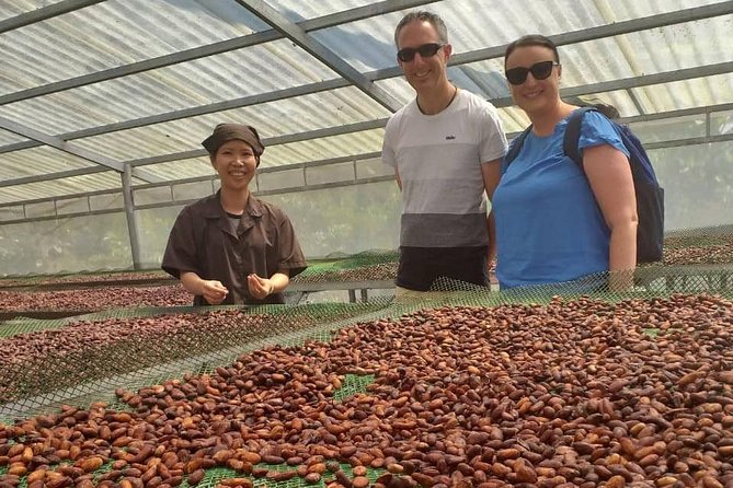 2-Day Mekong Delta with Cai Cang Floating Market from HCM City - Getting Oriented in Ho Chi Minh City and Timing Your Day
