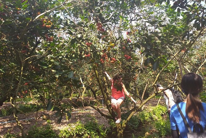 2-Day Mekong Delta with Cai Cang Floating Market from HCM City - Stork Sanctuary and Rice Paddies: A Breather Between Activities