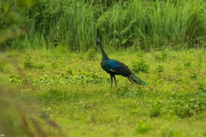 2-Day Trekking & Biking Nam Cat Tien National Park from HCM City - Should you book this 2-day Nam Cat Tien trip?