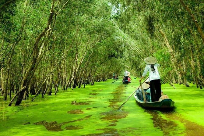 3 Days Mekong Delta Luxury Group Tour from Ho Chi Minh City - Day 2: Cai Rang Floating Market and the Early Morning Boat Rhythm
