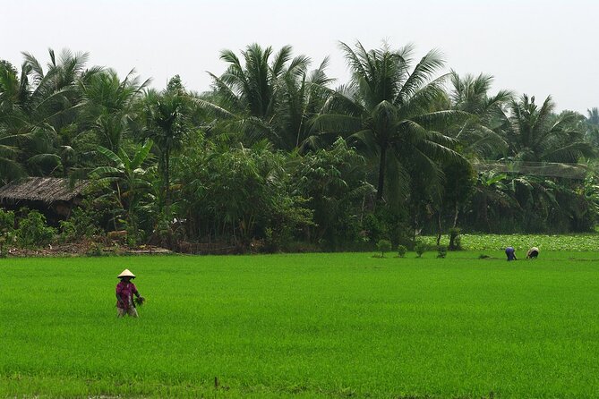Adventure Cu Chi Tunnels and Mekong Delta Tour From HCM - Lunch, honey tea, and folk music: the good stuff between the main sights