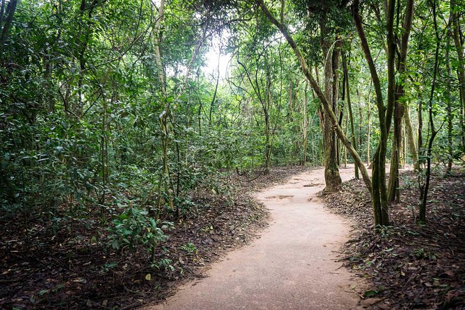 Afternoon Cu Chi Tunnels - Small Group Half-Day Tour - Afternoon Timing: Why the 13:00 Departure Works