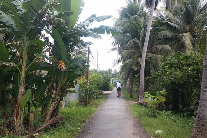 Authentic 'Non-Touristy' Mekong Delta Ben Tre 1 Day Private Tour - Lunch at a Local Home and Riverside Food Expectations