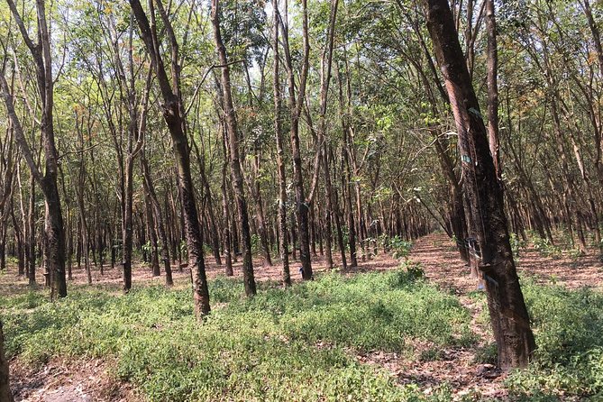 Ben Duoc - Authentic Cu Chi Tunnels Private Tour - Lunch is on you (and you can still plan ahead)