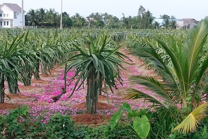 Best mekong delta bike tour - Day 2 morning Cai Rang: floating market by boat, then back-road biking