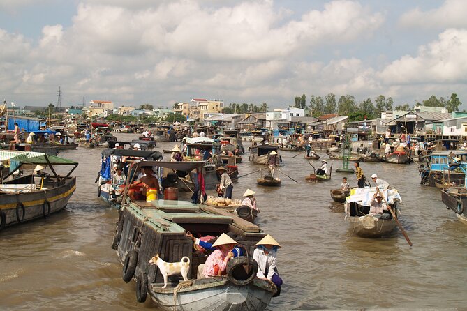 Best mekong delta bike tour - Bikes, distance, and fitness: what moderate means in real life