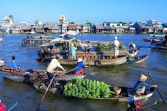 BIG BOSS private LIMOUSINE DAY TRIP TO MEKONG DElTA - My Tho stop: river sights and the Buddha visit moment