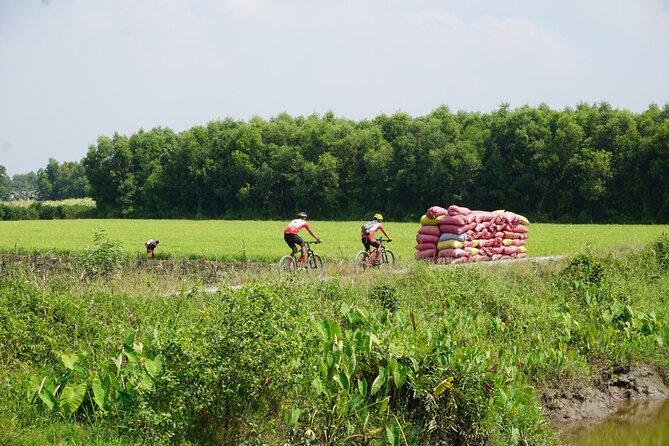 Bike And Boat Mekong Delta Cycling Tour - The first transfer and coffee-style prep in Long An