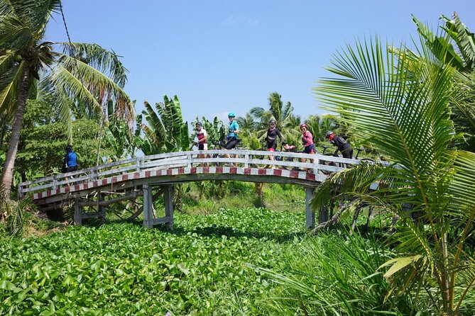 Bike And Boat Mekong Delta Cycling Tour - Tien Giang Province: rice paddies, coconut trees, and calm country rhythms
