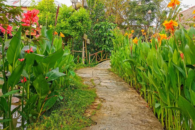 Cai Be Village - One-Day Mekong Delta Adventure - Honey kumquat tea, garden fruit, and snack tastings