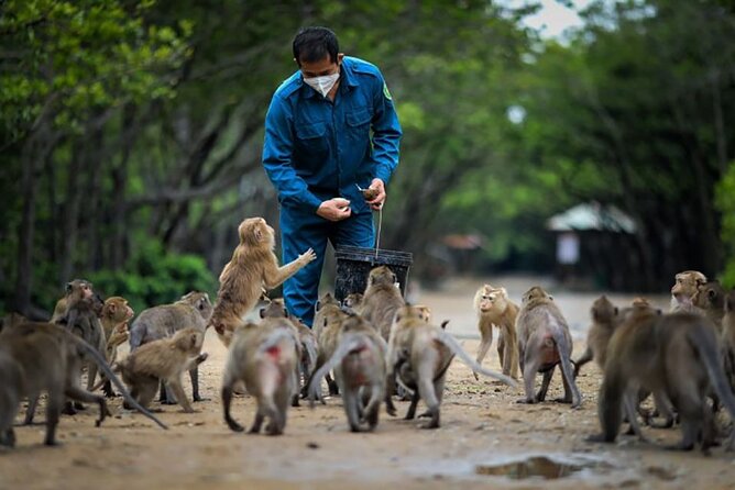 Cần Giờ Eco-Tour with Monkeys, Crocs & War History - Entering Cần Giờ Mangrove Biosphere Reserve: The Eco-Tour Setting