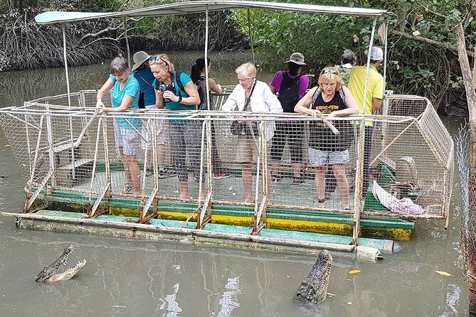 Can Gio Mangrove Adventure: Speedboat with Monkey Island - Crocodile Farm Stop: Big Crocs and an Optional Twist