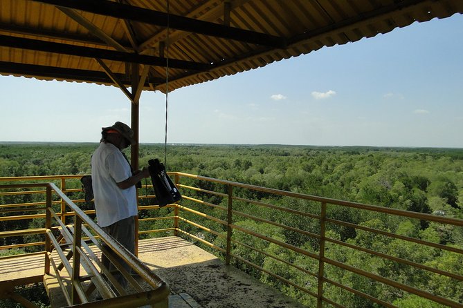 Can Gio Mangrove Eco And Wildlife Discovery Tour - Entering Can Gio: why this tour feels different