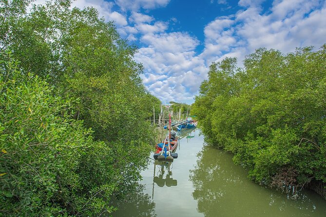 Can Gio Mangrove Forest 1 day tour - Can Gio From Ho Chi Minh City: wildlife-first, no slow moving
