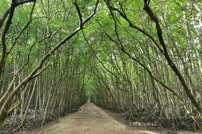 Can Gio Mangrove Forest 1 day tour - Lunch break: why a good meal is a real part of value