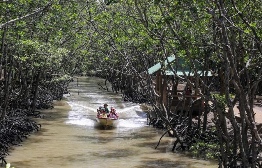 Can Gio Mangrove Forest - What to pack for Cần Giờ (so monkeys don’t steal your day)