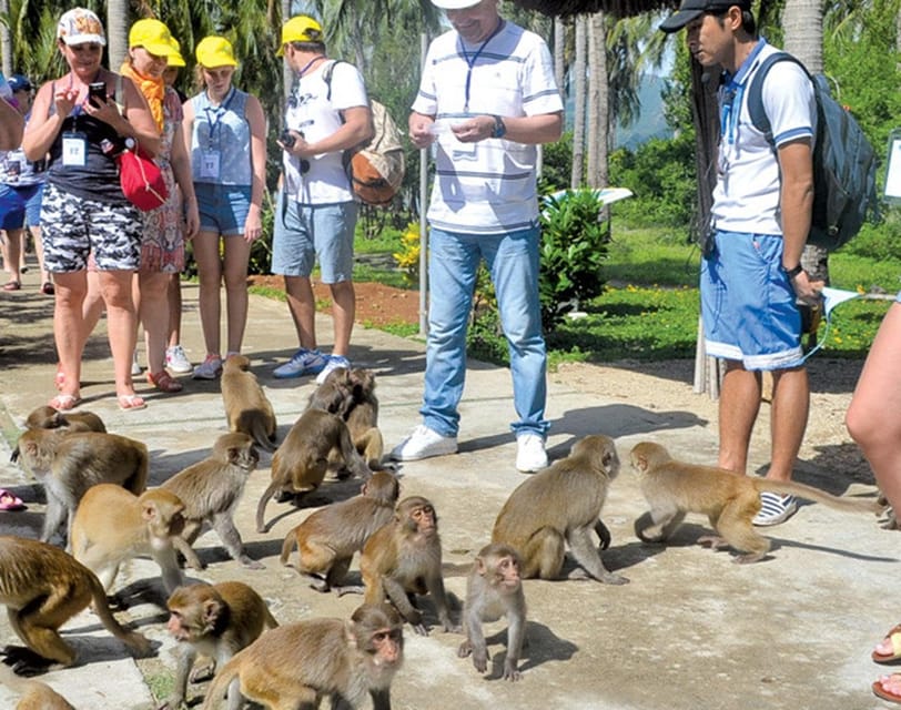 Can Gio Mangrove Forest - Who should book this Cần Giờ Mangrove Forest tour?