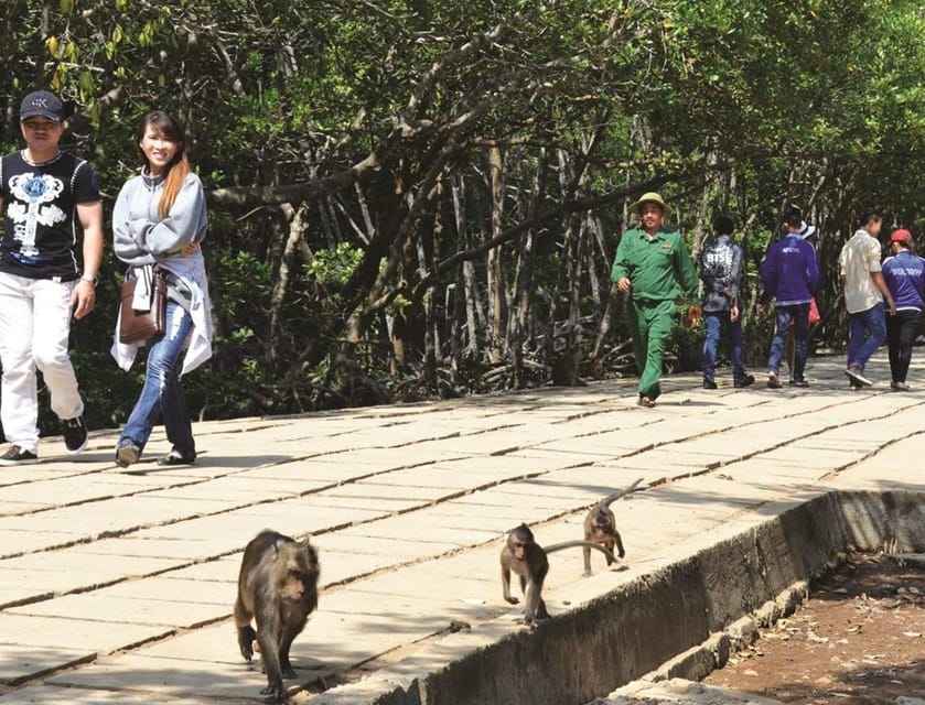 Can Gio Mangrove Forest - Should you book Can Gio Mangrove Forest?