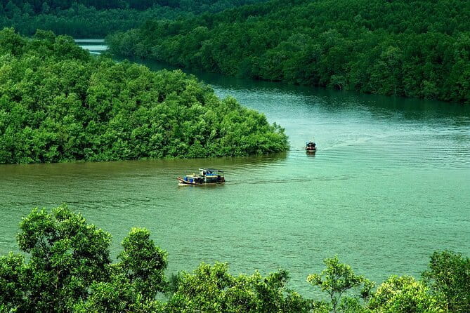 Can Gio Mangrove Forest Island Private Tour From Ho Chi Minh City - Key highlights worth planning for