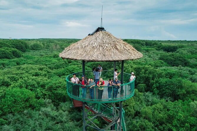 Can Gio Mangrove Forest Island Private Tour From Ho Chi Minh City - Crocodile fishing and crab fishing: Hands-on nature, real local challenge