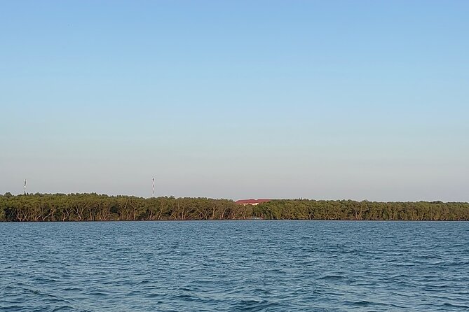 Can Gio Mangrove Forest Private Tour With Thanh An Island - Key things you’ll notice on this tour