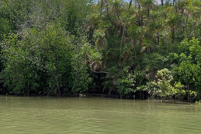 Can Gio Mangrove Forest Private Tour With Thanh An Island - Can Gio Mangrove Reserve: Monkey Island and the quiet between city noises