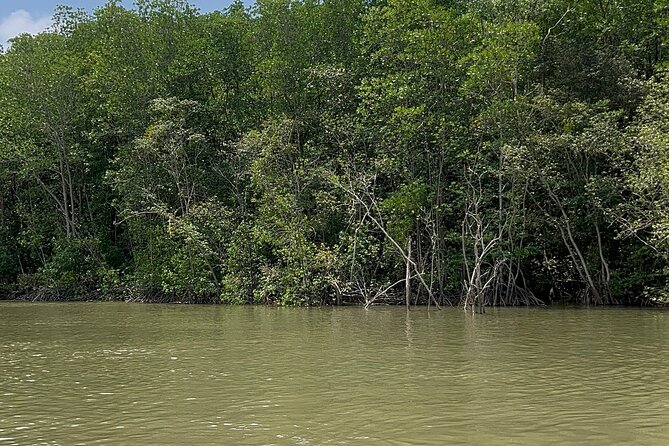 Can Gio Mangrove Forest Private Tour With Thanh An Island - Price and value: what $94.89 really buys you