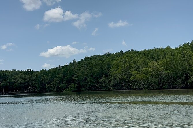 Can Gio Mangrove Forest Private Tour With Thanh An Island - Guide quality: the real difference on this kind of day