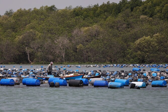 Can Gio Mangrove Forest Private Tour With Thanh An Island - Little logistical notes that affect your day