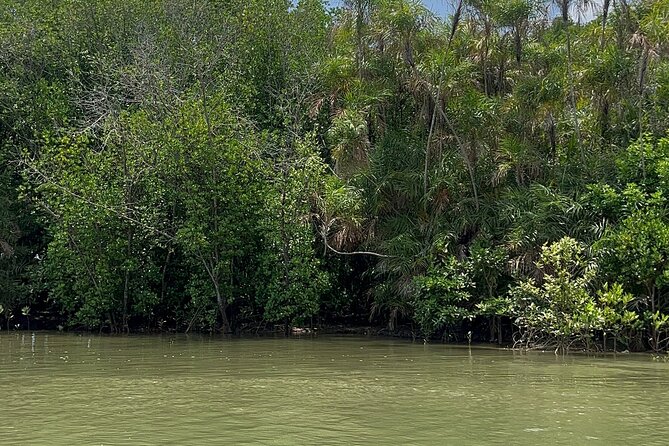 Can Gio Mangrove Forest Private Tour With Thanh An Island - Should you book this Can Gio + Thạnh An tour?