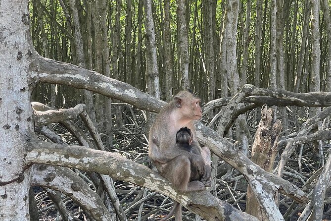 Can Gio Mangroves - Monkey Island by Motorbike and Scooter - The motorbike ride out of Ho Chi Minh City