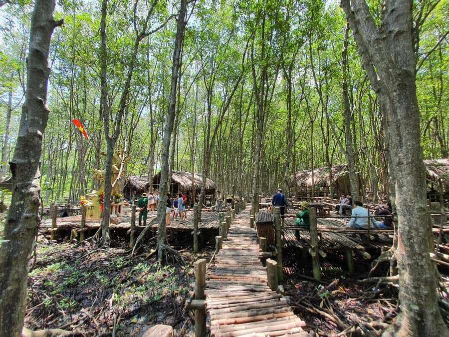 Can Gio: Monkey Island, Guerilla Camp, Mangrove Forest - Monkey Park in the mangrove: Feeding and filming over 1,000 monkeys