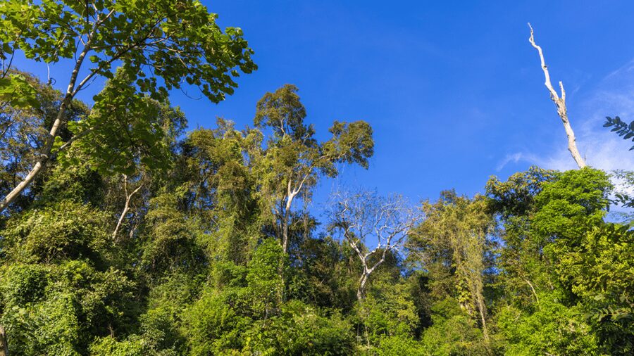Cat Tien National Park with Crocodile Lake - Two days in Cat Tien: how the trail, night safari, and Crocodile Lake fit together