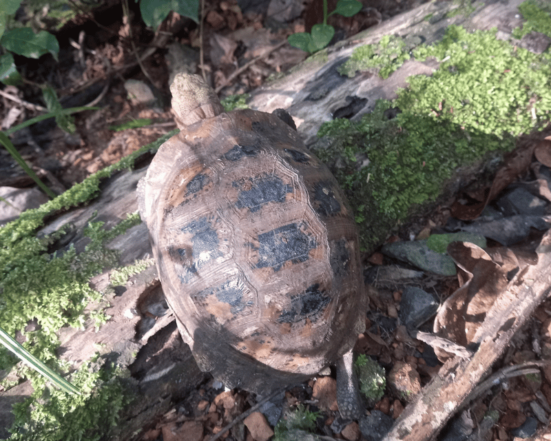 Cat Tien National Park with Crocodile Lake - Price and value: what $165 covers (and what it doesn’t)