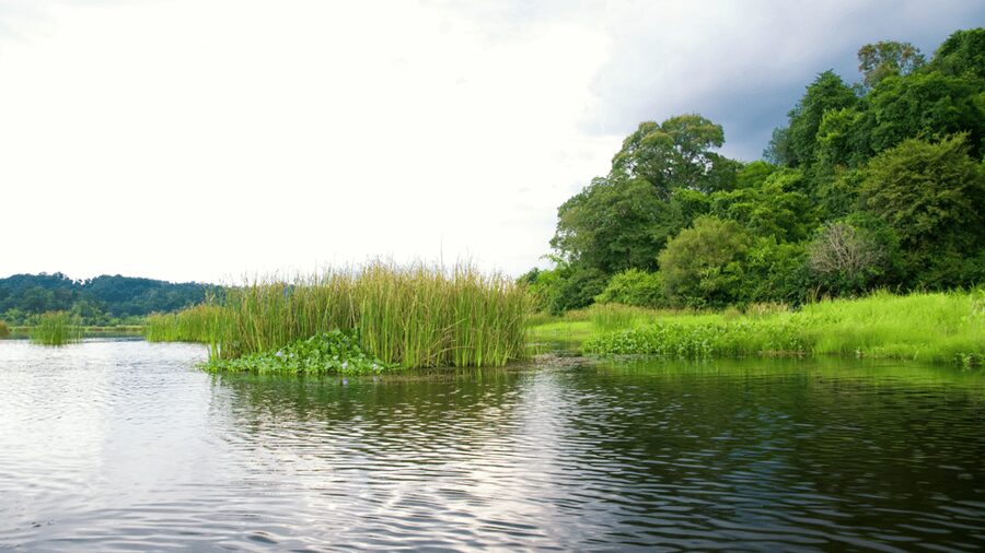 Cat Tien National Park with Crocodile Lake - Who should book this Cat Tien tour (and who should skip it)