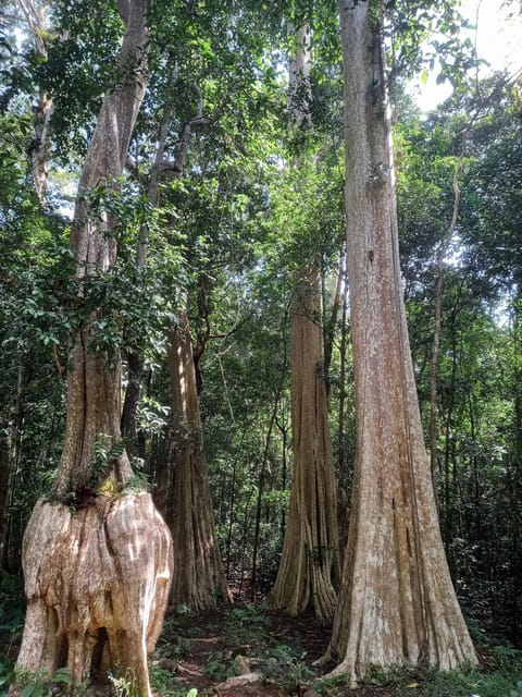 Cat Tien National Park with Crocodile Lake - Tips to make your two days smoother in Cat Tien