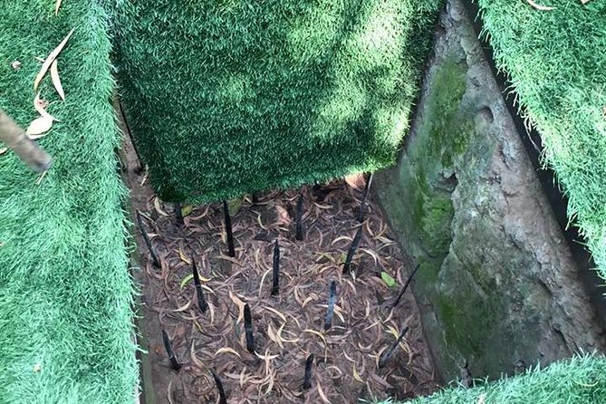 Cu Chi And Mekong Full Day Trip - Cu Chi Tunnels: getting the war-era details without a boring lecture
