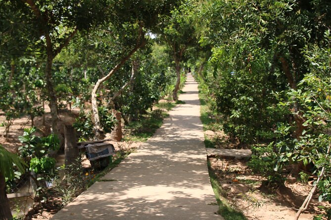 Essential Mekong Delta: Highlights Tour from Ho Chi Minh City - Vĩnh Tràng Pagoda: Southern Vietnamese Craft You Can Spot From a Distance