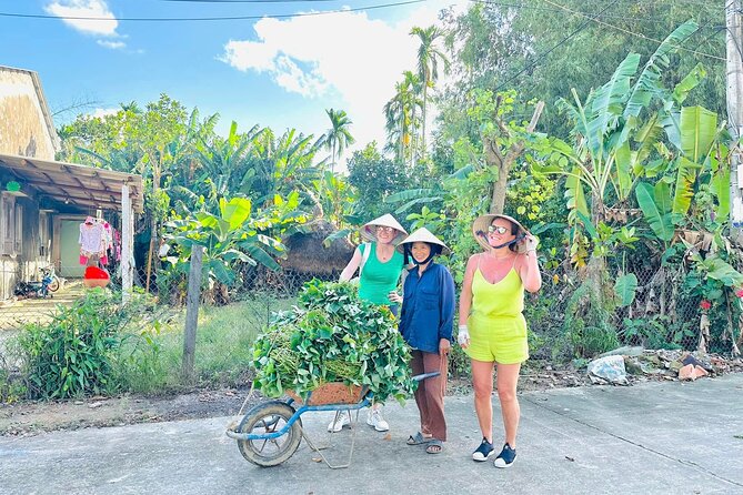 Experience Authentic Mekong Delta Life From Ho Chi Minh City - Price and logistics: what $24 buys you in the real world