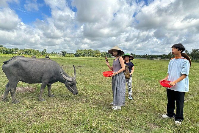 Exploring organic farm & Vietnamese Culinary with Master chef - Key points at a glance
