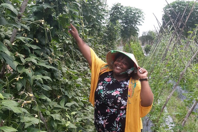 Exploring organic farm & Vietnamese Culinary with Master chef - Organic Farm Time: Picking Herbs, Vegetables, and Mushrooms