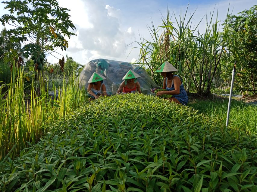 Farm-To-Table Healthy Cooking Class: Half-Day Tour - What You’ll Do in a 6-Hour Farm-to-Table Day (Morning or Afternoon)
