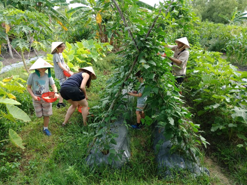 Farm-To-Table Healthy Cooking Class: Half-Day Tour - Price and Logistics: Is $70 Worth It?