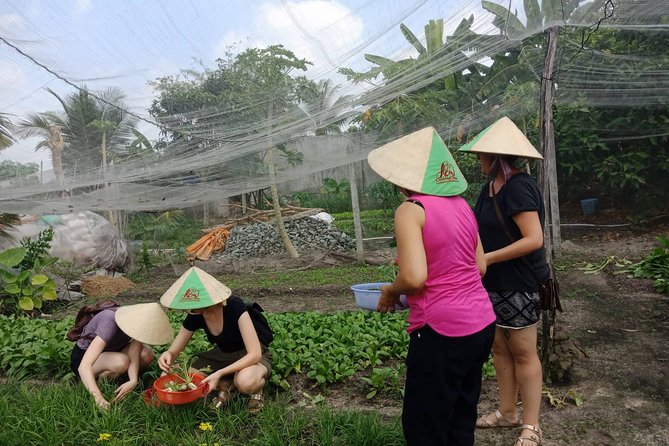 Farm-To-Table Healthy Cooking Class in Ho Chi Minh City - The Farm Tour: More Than Photos, Real Ingredient Stories