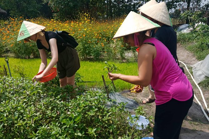 Farm-To-Table Healthy Cooking Class in Ho Chi Minh City - The Hammock Break and Fruit: A Small Pause That Keeps You Happy