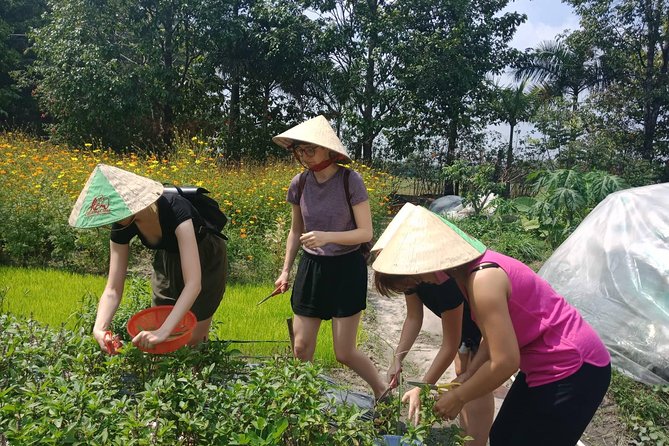 Farm-To-Table Healthy Cooking Class in Ho Chi Minh City - Lunch and Your Results: Eating What You Made